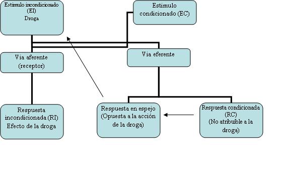 causalidad-no-lineal.jpg