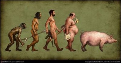 evolucion