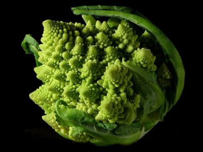 brocoli brocoli