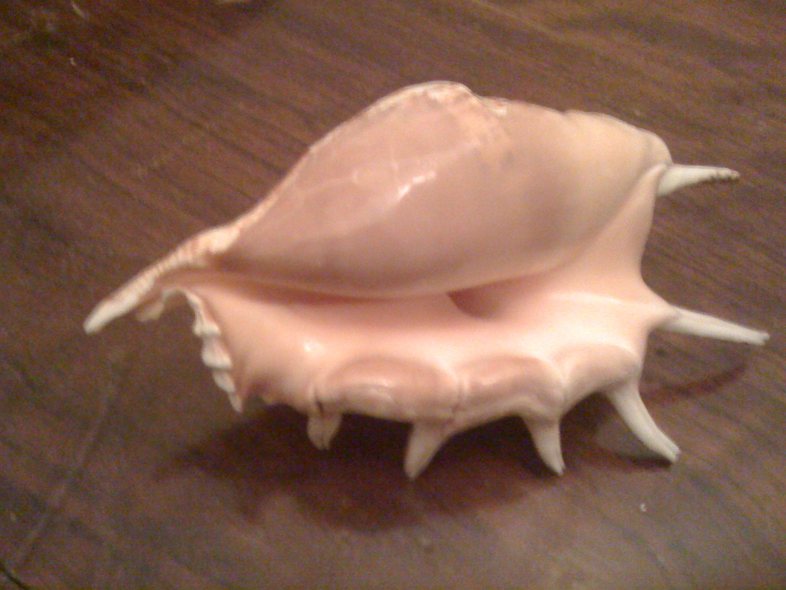 img_0180 img_0180