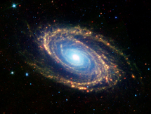 cosmos cosmos