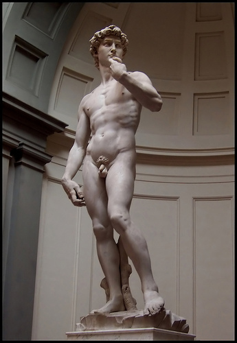 david david