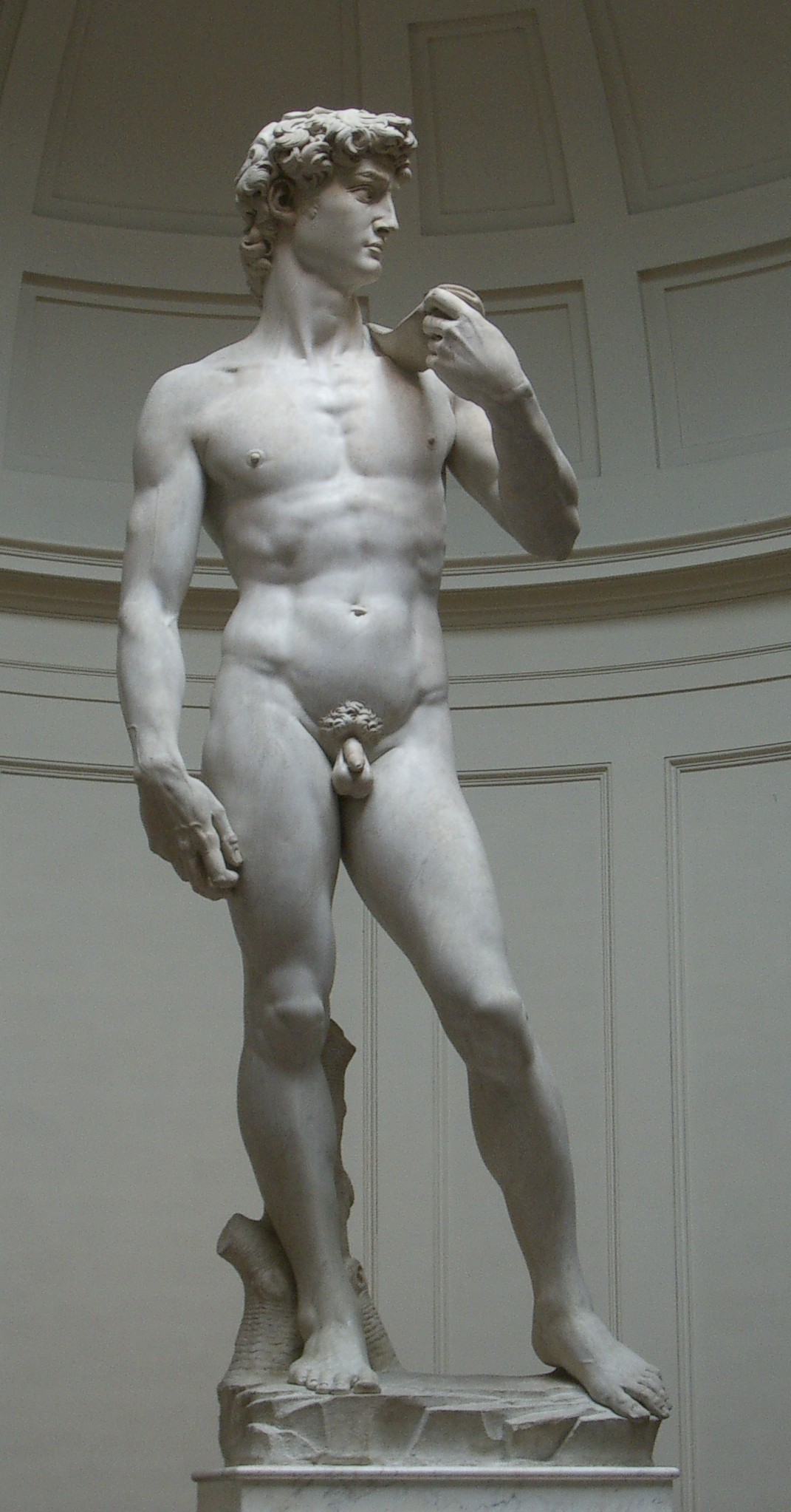 david david