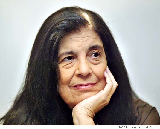 susan sontag