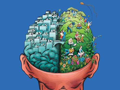 cerebro-3