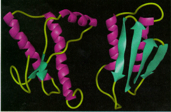 Prion