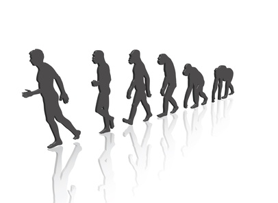 L'évolution - 3d