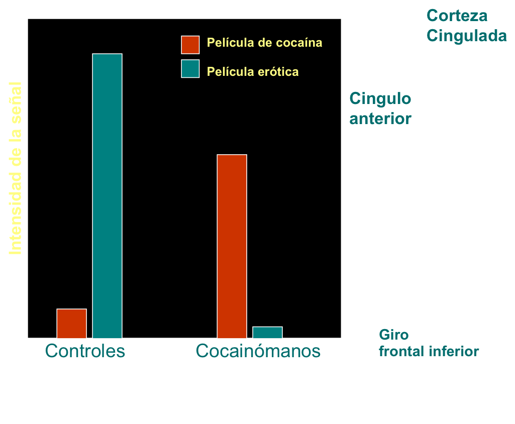 cocaina