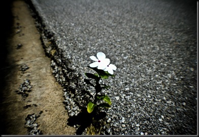 resilience