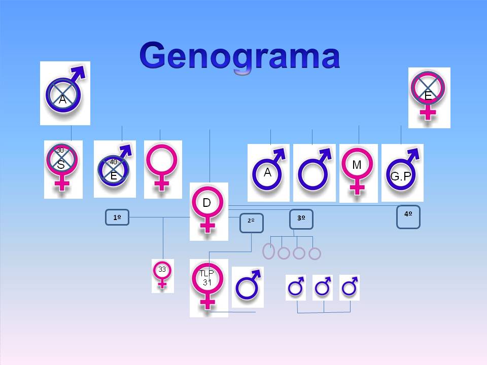 genograma modificado