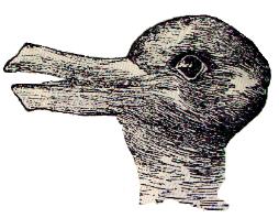 pato-conejo-Jastrow