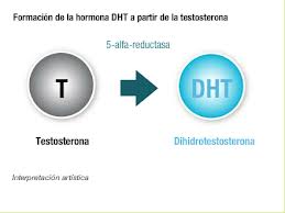 reductasa