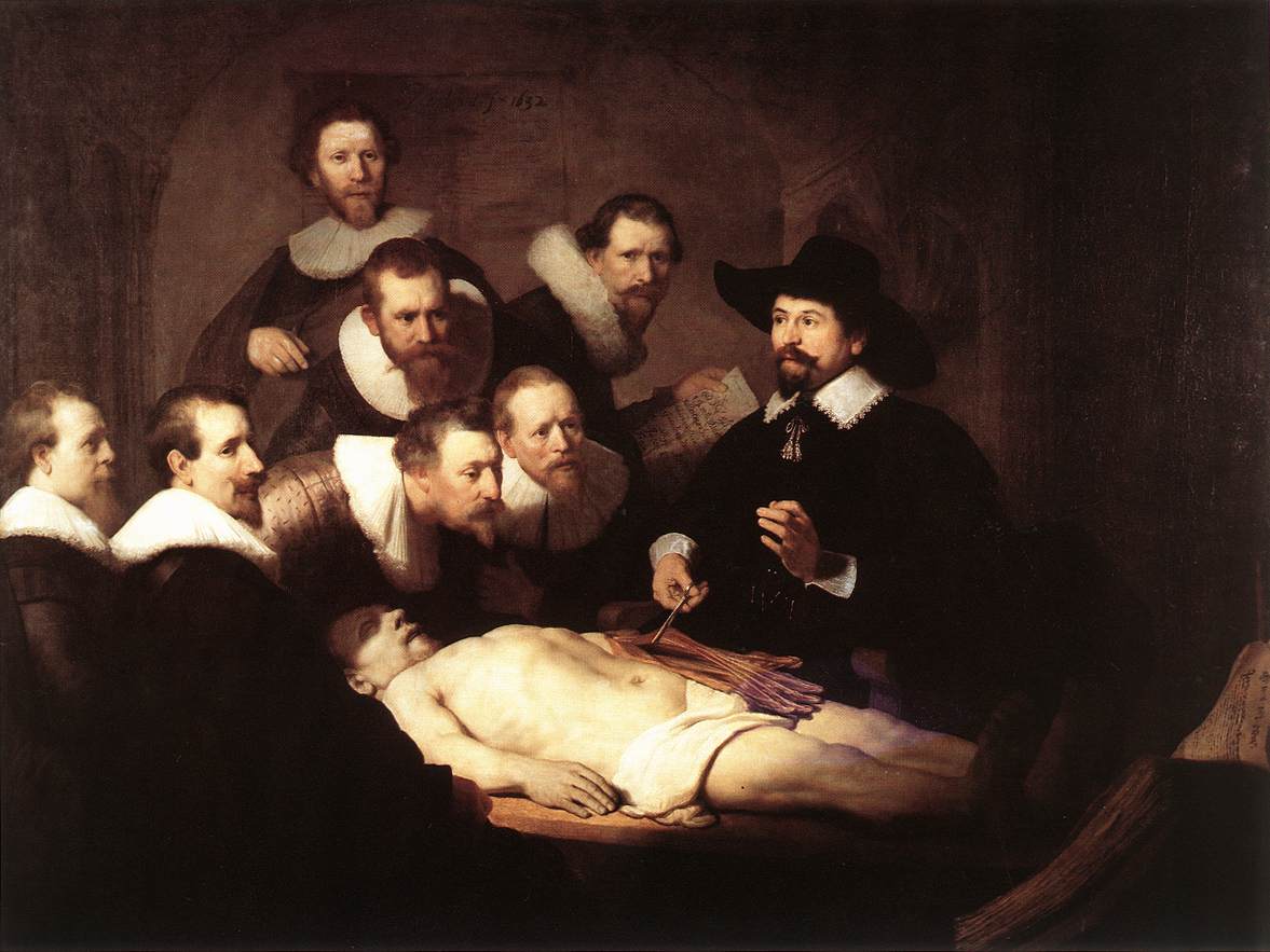 anatomy