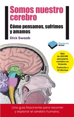 Somos_nuestro_cerebro_frontal