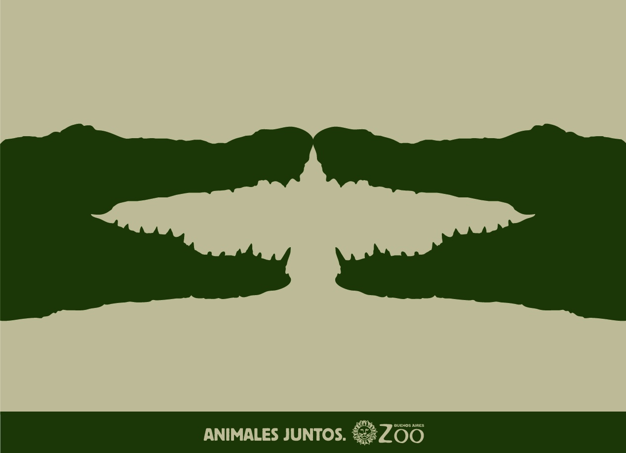 cocodrilos