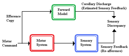 corollary_discharge_vs_efference_copy