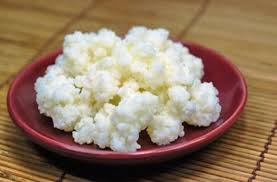 kefir
