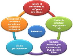 probioticos