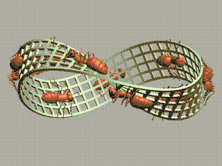 cintamoebius
