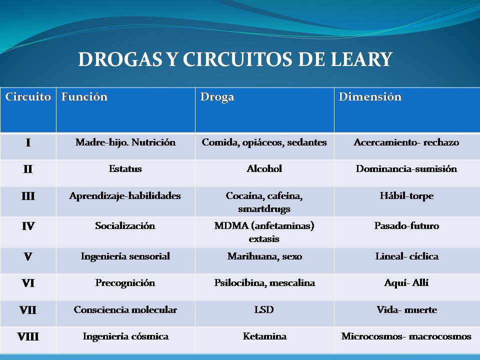 drogas y circuitos de leary