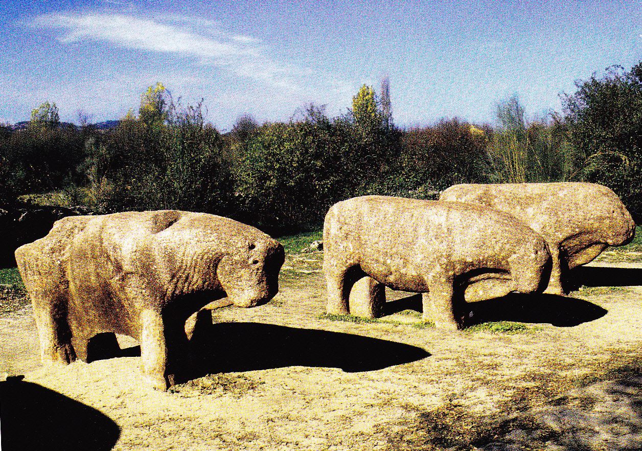 TOROS-CORREGIDA