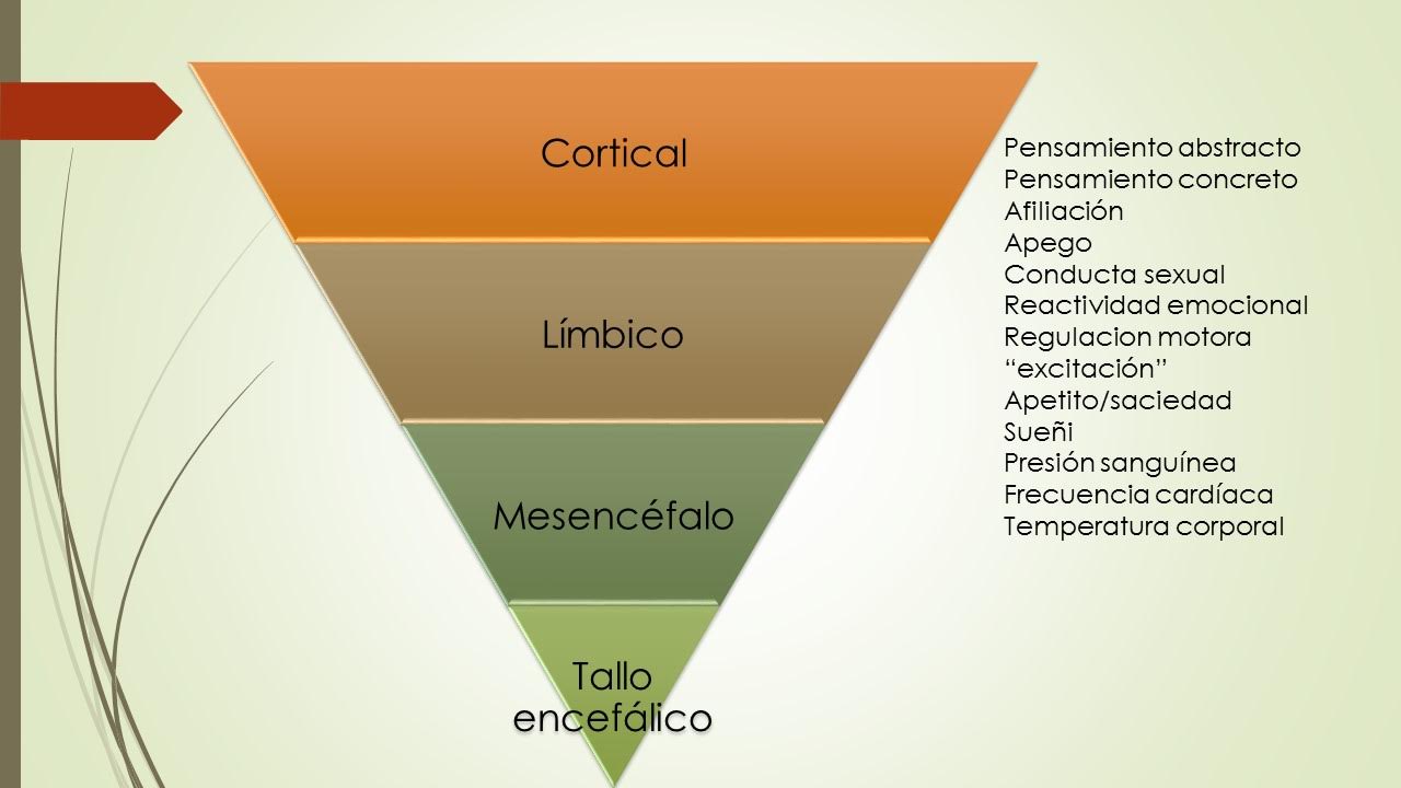 cerebro
