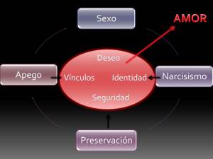 amor1