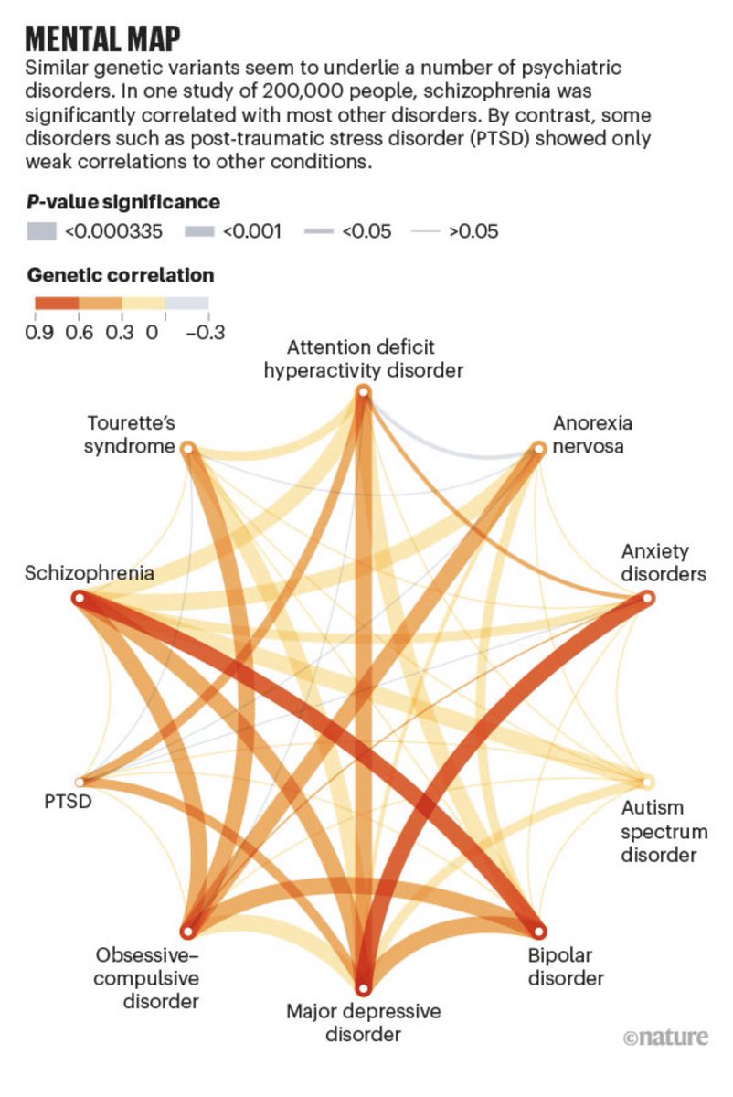 La red neuronal por defecto y los psiquedélicos (V)